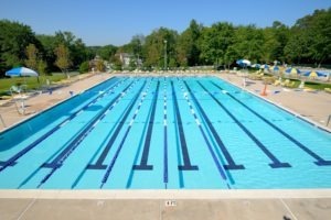 Larchmont Competition Pool 1
