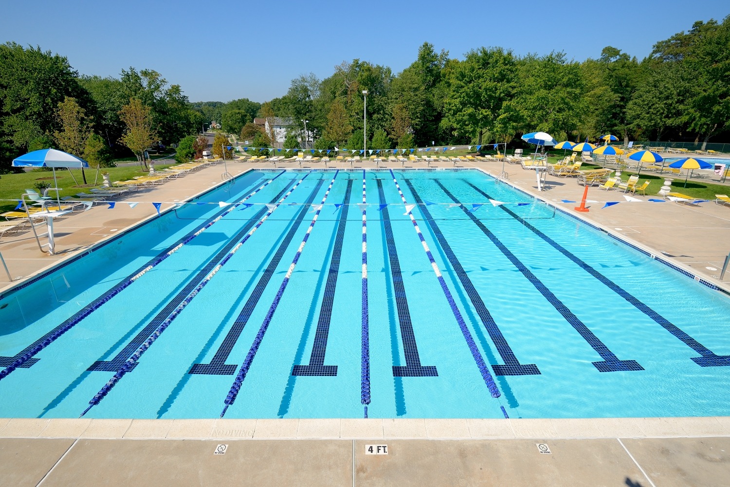 Cool Swim Team Pools